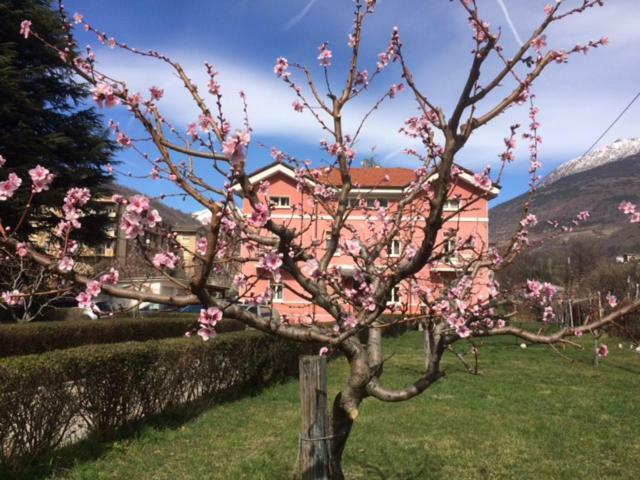Al Borgo Di Sant'Orso - Cir 0342 Apartment Aosta Ngoại thất bức ảnh